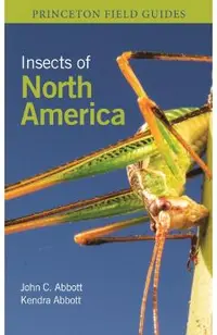 Insects of North America