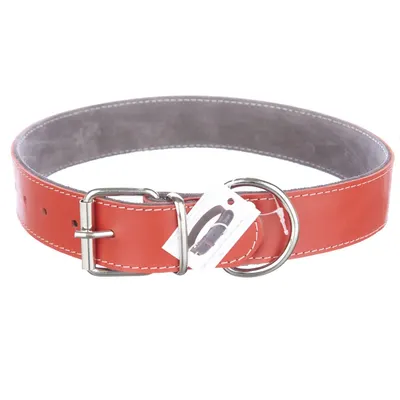 Zgarda din piele, rosie, pentru caini de talie mare, 4 cm x 75 cm