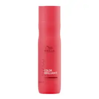 Șampon, Wella, Invigo Color Brilliance, 250 ml