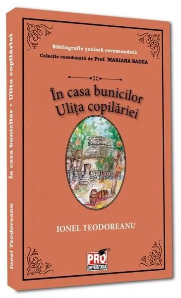 În casa bunicilor. Ulița copilăriei - Paperback brosat