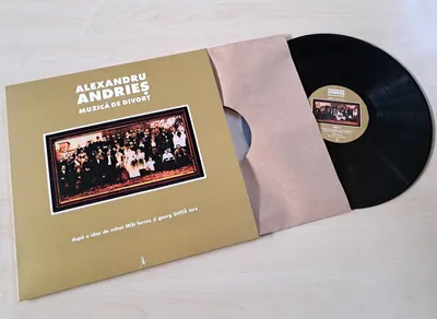 Muzica de divort - Vinyl