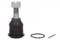 Pivot axa Dreapta Stanga (fata) (diametru con 14,9mm) potrivit NISSAN ALMERA II, PRIMERA, SUNNY II 1.4-2.2D 06.86-11.06