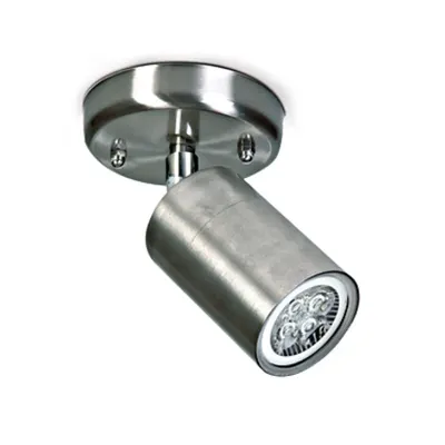 Arpus, GU10, 35W, IP54, ajustabil, otel inox