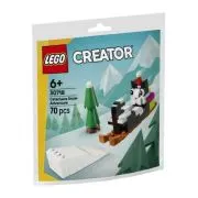 LEGO Creator. Aventura in Zapada a lui Cataclaws 30718, 70 piese