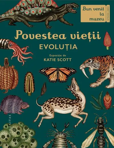 Povestea vieții: Evoluția - Hardcover - Katie Scott