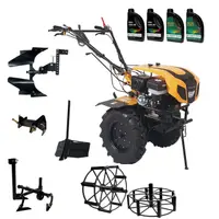 ProGARDEN Pachet Campo 1844 Motocultor 18CP + Plug bilonat + Plug reversibil + Prasitoare + Adaptor + 2 roti metalice 540x170 + 4L Ulei