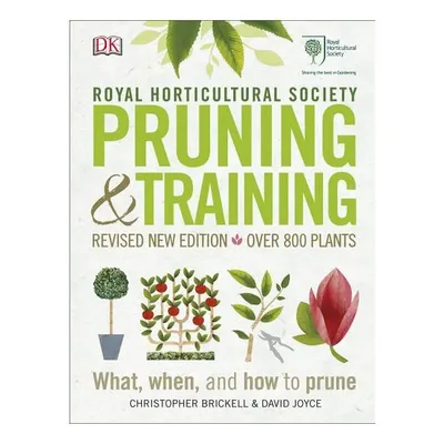 Pruning & Training
