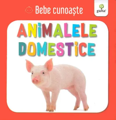 Bebe cunoaste. Animalele domestice