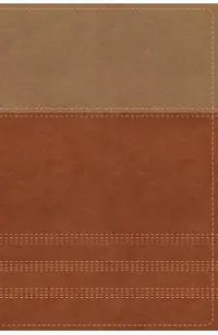 NIV, Biblical Theology Study Bible, Imitation Leather, Tan/Brown, Comfort Print: Follow God's Redemptive Plan as It Unfolds Throughout Scripture