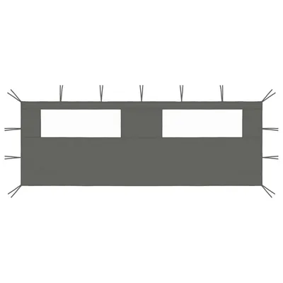Gossi perete lateral foisor cu ferestre, 6x2 m, antracit