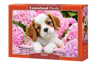 Puzzle Castorland din 500 de piese - Catelus printre flori roze