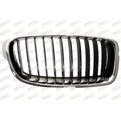 Grila radiator PRASCO BM0282003