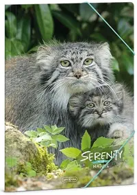 Dosar cu elastic Ars Una Serenity - A4, manul