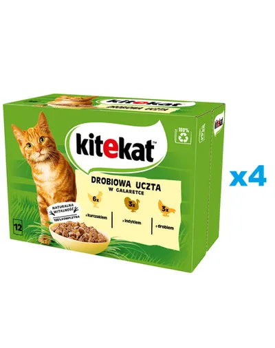 KITEKAT Set mancare umeda pisici adulte, pui, curcan si pasare in aspic 48x85 g
