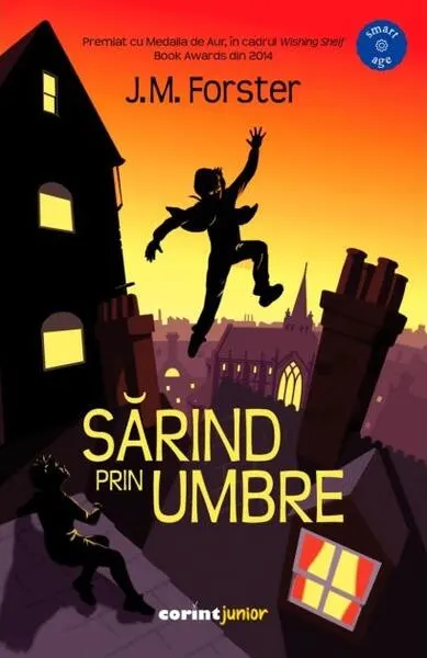 Sărind prin umbre - Paperback brosat - J.M. Forster