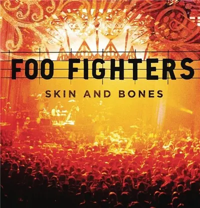 Skin and Bones - Vinyl