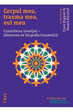 eBook Corpul meu, trauma mea, eul meu. Constelarea intentiei - eliberarea de biografia traumatica