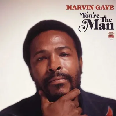 You're The Man - Vinyl