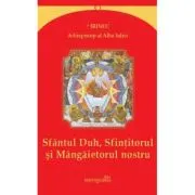 Sfantul Duh, Sfintitorul si Mangaietorul nostru