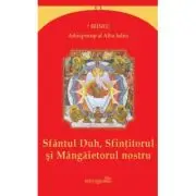 Sfantul Duh, Sfintitorul si Mangaietorul nostru