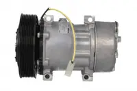Compresor climatizare potrivit RVI KERAX, MAXITY, PREMIUM 2; NISSAN CABSTAR, NT400 CABSTAR 10.05-