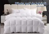 Pilota din puf de lebada, 200x230 cm, alb
