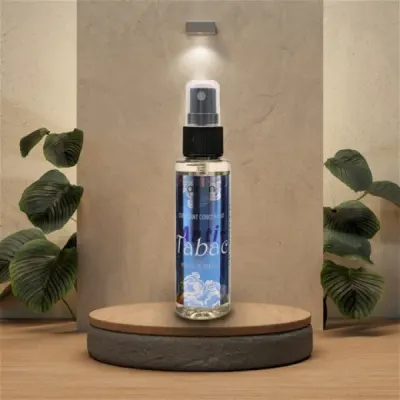 Odorizant Auto Spray 50ml Anti Tabac AIR ON