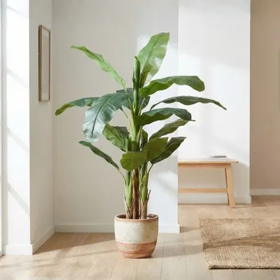 Plantă artificială Bananier 165 cm, cu 23 frunze verzi cu detalii realiste, pentru interior, în ghiveci negru