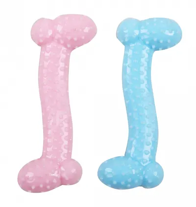 Pawise Jucarie Puppy Bone