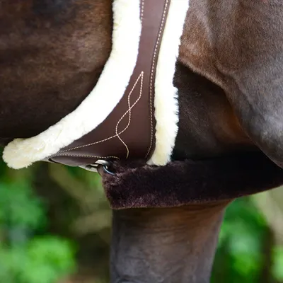 Kentucky Anatomische Singel Wol Bruin