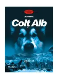 Colţ Alb - Paperback brosat - Jack London