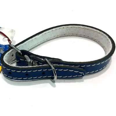 Zgarda din piele, albastra, rezistenta, 14 mm x 400 mm