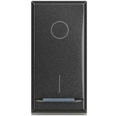 Intrerupatoare bipolare 20 A Axolute - Antracit - 1 modul