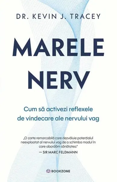 Marele nerv - Paperback brosat - Dr. Kevin J. Tracey