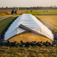 Folie Siloz 10m x 25m, Grosime 150 microni, Profesională - Standard Fermă