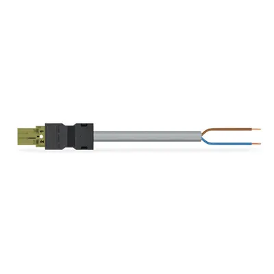 pre-assembled connecting cable; Eca; Plug/open-ended; 2-pole; Cod. B; Control cable 2 x 1.0 mm²; 3 m; 1,00 mm²; light green