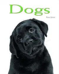 Dogs: Pocket Book - Hardcover - Rino Serio