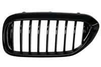 Grila radiator Stanga potrivit BMW 5 (G30, F90), 5 (G31) 1.6-4.4 dupa 2016 - (negru lucios)