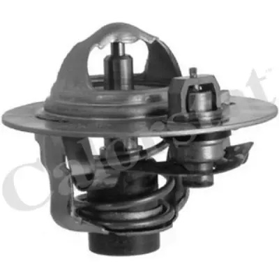 Termostat, lichid racire CALORSTAT by Vernet TH5980.88J