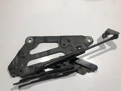 Balama capota stanga cu telescop 7046323 04 BMW Seria 5 GT (2009-2017) [F07]