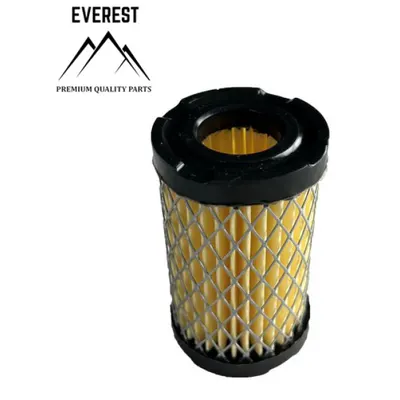 Filtru de Aer Tecumseh Tvs Everest