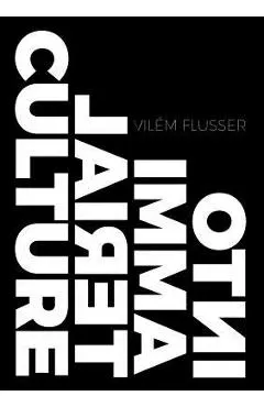 Into Immaterial Culture