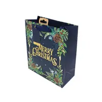 Pungă de cadou, din hârtie, colecția Clairefontaine de la Eurowrap, 25x21,5 cm, burduf de 10 cm, Merry Xmas