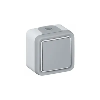 Intrerupator cap cruce Plexo IP55 - 10 AX 250 V~ - surface mounting - gri