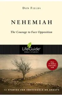 Nehemiah: Courage in the Face of Opposition