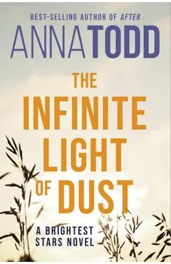 The Infinite Light of Dust