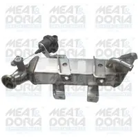 Radiator Recirculare Gaze Esapament Potrivit Nissan Nv400, Qashqai I; Opel Movano B, Vivaro A; Renault Espace Iv, Grand Scenic Iii, Laguna Iii, Master Iii, Megane Iii, Scenic Iii 2.0d 2.3d 01.06-