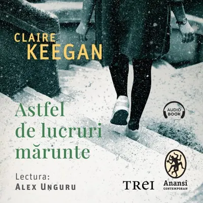 Astfel de lucruri mărunte - Audiobook
