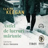 Astfel de lucruri mărunte - Audiobook