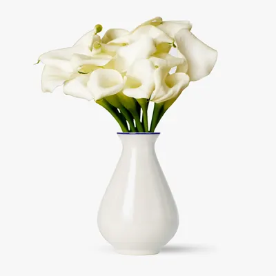 Buchet de 9 cale albe